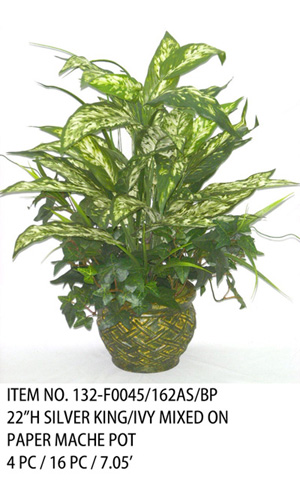 22"H SILVER KING/IVY MIXED ON PAPER MACHE POT