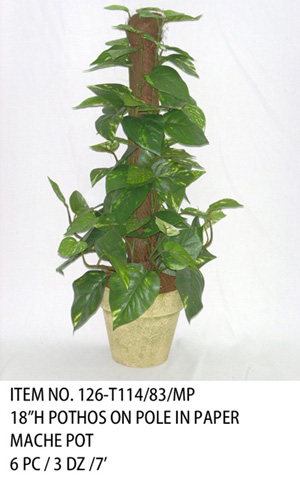 18"H POTHOS ON POLE IN PAPER MACHE POT