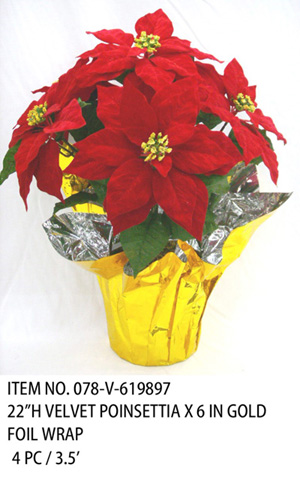 22"H VELVET POINSETTIA X 6 IN GOLD FOIL WRAP