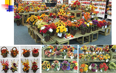 Fall Section(Arrangment)