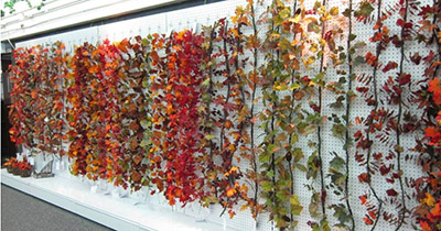 Fall Section(Garland)