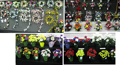 Spring Section (BUSHOTHERS-A)