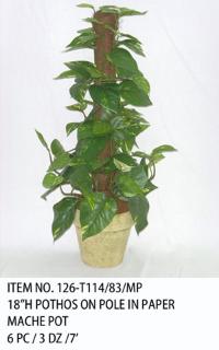 18"H POTHOS ON POLE IN PAPER MACHE POT