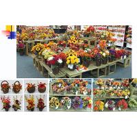 Fall Section(Arrangment)