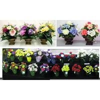 Spring Section (BUSHOTHERS-B)